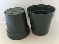2" Round Green Pot